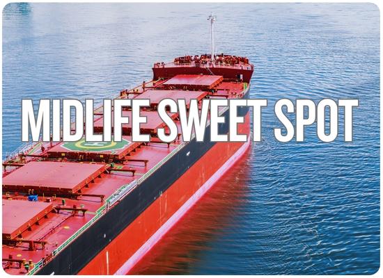 Why 10-Year-Old Ultramaxes May Be the Best Value in Dry Bulk Right Now